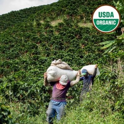 Colombia Organic-RFA Antioquia Excelso